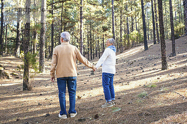 Älteres Paar hält Händchen und steht im Wald