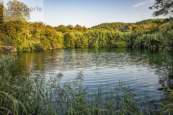 Schöne Aussicht auf den Fluss im Nationalpark Krka  Sibenik-Knin  Kroatien