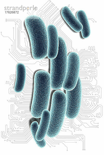 Nahaufnahme von Bakterien und Leiterplatte