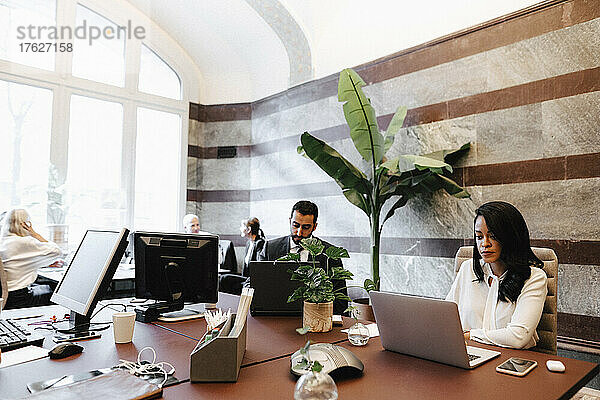 Weibliche und männliche Anwälte mit Laptops am Schreibtisch im Büro