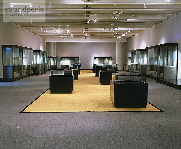 Galerieraum und Podien  eine leere Kunstgalerie mit Ausstellungskästen.