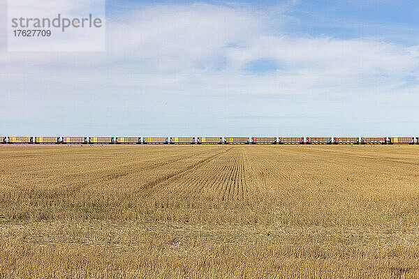 Blick über ein Stoppelfeld und die lange Reihe gelber Waggons eines Güterzuges am Horizont.
