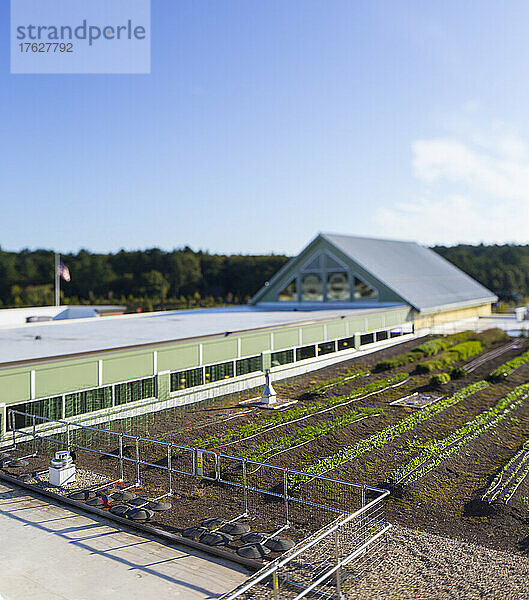 Gemüseanbau auf einem Biobauernhof  erhöhter Blick auf den kommerziellen Biobetrieb und die Gebäude.