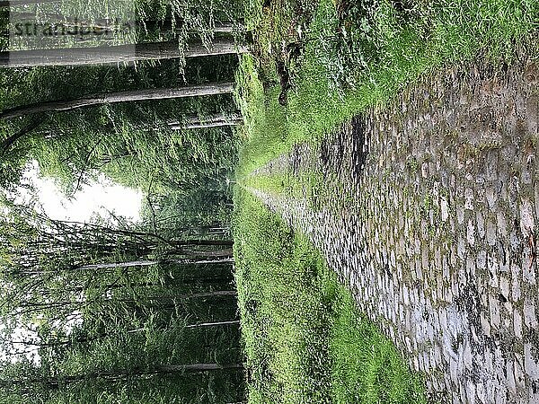 Gepflasterter Weg gesäumt von Vegetation im Sommer im Regen  Villers-Cotterêts  Hauts-de-France  Frankreich.