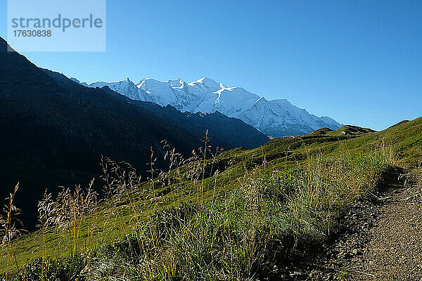 Als Schäfer im Naturschutzgebiet Passy (74) mit Blick auf den Mont Blanc steht Guillaume an der Spitze einer Herde von 800 Schafen  die zwei Züchtern gehört. .Guillaume muss für den Schutz der Herde vor dem Wolfsangriff sorgen (Überwachung  Schreckschusspistole). Die Agenten des französischen Amtes für Artenvielfalt (OFB) sind dafür verantwortlich  die Raubzüge des Wolfes in der Herde zu beobachten.