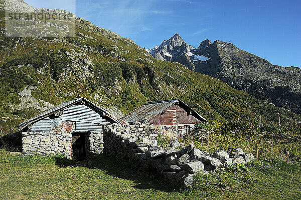 Als Schäfer im Naturschutzgebiet Passy (74) mit Blick auf den Mont Blanc steht Guillaume an der Spitze einer Herde von 800 Schafen  die zwei Züchtern gehört. . Guillaume muss dafür sorgen  dass die Herde vor dem Angriff des Wolfes geschützt wird (Überwachung  Schreckschusspistole...).