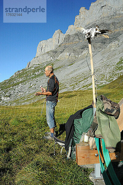 Als Schäfer im Naturschutzgebiet Passy (74) mit Blick auf den Mont Blanc steht Guillaume an der Spitze einer Herde von 800 Schafen  die zwei Züchtern gehört. . Guillaume muss dafür sorgen  dass die Herde vor dem Angriff des Wolfes geschützt wird (Überwachung  Schreckschusspistole...).