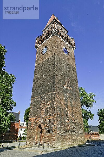 Schlossturm  Schlossberg  Cottbus  Brandenburg  Deutschland  Europa