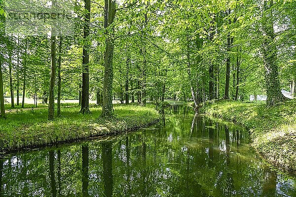 Kanal  Fürst-Pückler-Park Branitz  Cottbus  Brandenburg  Deutschland  Europa