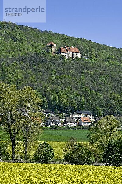 Burg Schaumburg  Rinteln  Weserbergland  Niedersachsen  Deutschland  Europa