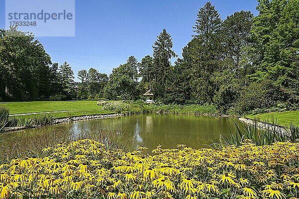 Teich  Kurpark  Bad Pyrmont  Niedersachsen  Deutschland  Europa