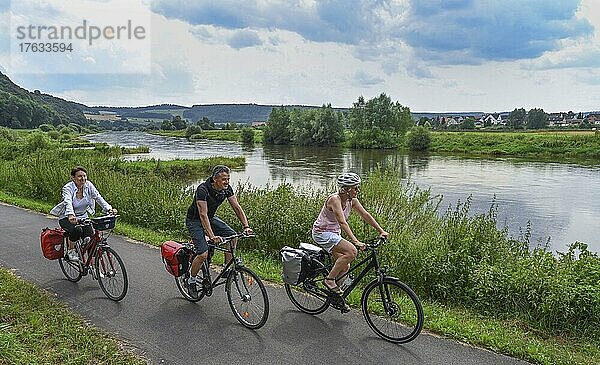 Radfahrer  Weserradweg  Weser nahe Heinsen  Niedersachsen  Deutschland  Europa