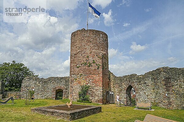 Burgfried  Turm  Burg  Polle  Niedersachsen  Deutschland  Europa