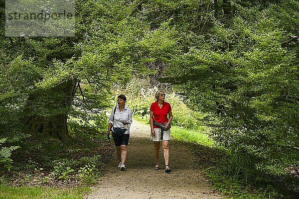 Besucher  Bäume  Arboretum  Schlosspark  Schloss Schwöbber  Niedersachsen  Deutschland  Europa