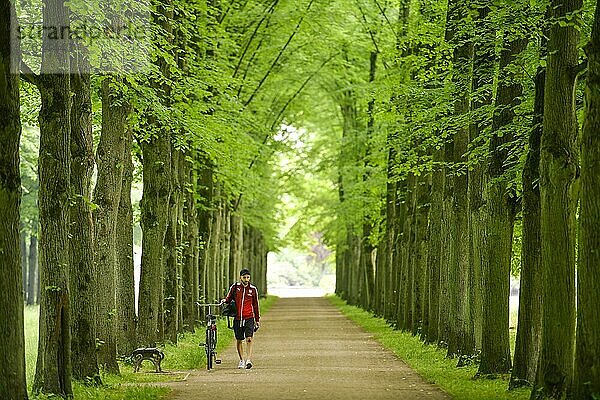 Lindenallee  Herzogin-Eleonore-Allee  Französischer Garten  Celle  Niedersachsen  Deutschland  Europa