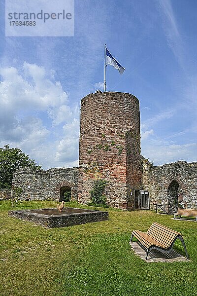 Burgfried  Turm  Burg  Polle  Niedersachsen  Deutschland  Europa