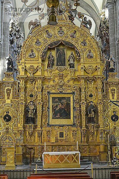 Altar der Vergebung  Kathedrale Catedral Metropolitana de la Asuncion de Maria  Plaza de la Constitucion  Mexiko Stadt  Mexiko  Mittelamerika