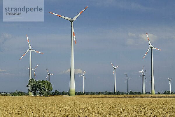 Windräder  Feld bei Köthen  Sachsen-Anhalt  Deutschland  Europa