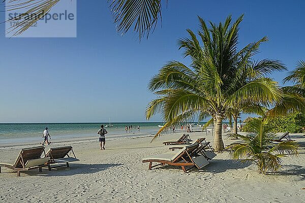 Palmenstrand  Isla Holbox  Quintana Roo  Mexiko  Mittelamerika