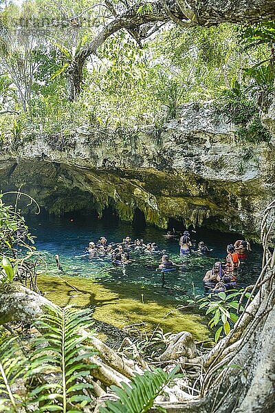 Grand Cenote  Tulum  Quintana Roo  Mexiko  Mittelamerika