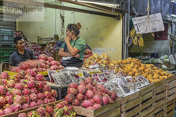 Drachenfrüchte  Mangos  Marktstand  Mercado Lucas de Galvez  Merida  Yucatan  Mexiko  Mittelamerika