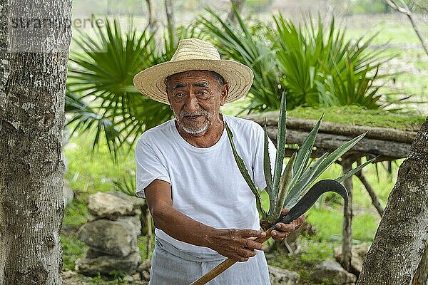 Alter Farmer erklärt die Produktion von Sisal  Landwirtschaftsmuseum  Produktion von Sisalfasern  Hacienda Sotuta de Peon  Yucatan  Mexiko  Mittelamerika