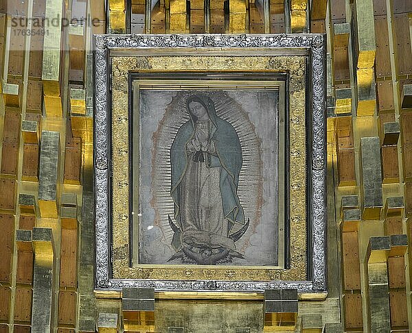 Original  Gnadenbild der Jungfrau von Guadalupe  Neue Basilika Maria de Guadalupe  Mexiko Stadt  Mexiko  Mittelamerika