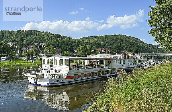 Schiffsanleger  Ausflugsdampfer Höxter  Weser  Bad Karlshafen  Hessen  Deutschland  Europa