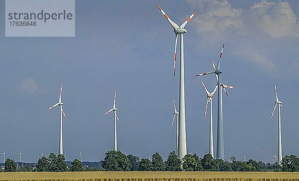 Windräder  Feld bei Köthen  Sachsen-Anhalt  Deutschland  Europa