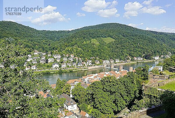 Stadtpanorama  Neuenheim  Heidelberg  Baden-Württemberg  Deutschland  Europa