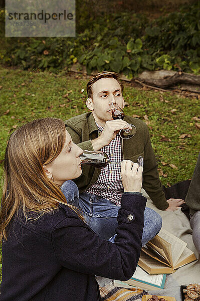 Freunde trinken Rotwein beim Picknick im Garten