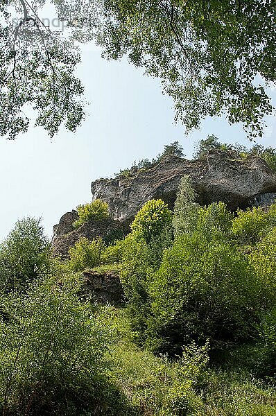 Trockenhänge und Felsblöcken bei Pottenstein  bei schönstem Sonnenschein  Pottenstein  Bayern