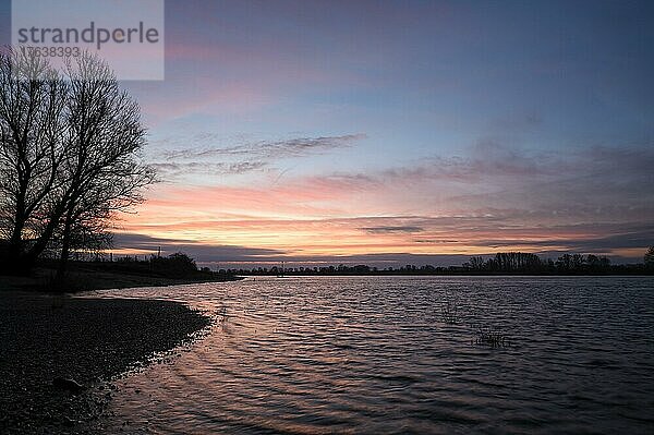 Morgendämmerung am Rhein  vor Sonnenaufgang  Bislich  Niederrhein  Nordrhein-Westfalen  Deutschland  Europa