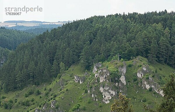 Trockenhänge und Felsblöcken bei Pottenstein  Blick von der Hohen Warte  Pottenstein  Bayern