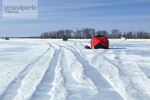 Eisfischen  Rotes Angelzelt auf dem zugefrorenen Sankt-Lorenz-Strom  Provinz Quebec  Kanada  Nordamerika