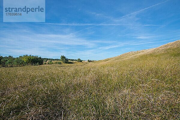 Hohe Warte Zingst  Blick vom Bohlenwanderweg in die Landschaft  Nationalpark Vorpommersche Boddenlandschaft  Mecklenburg-Vorpommern