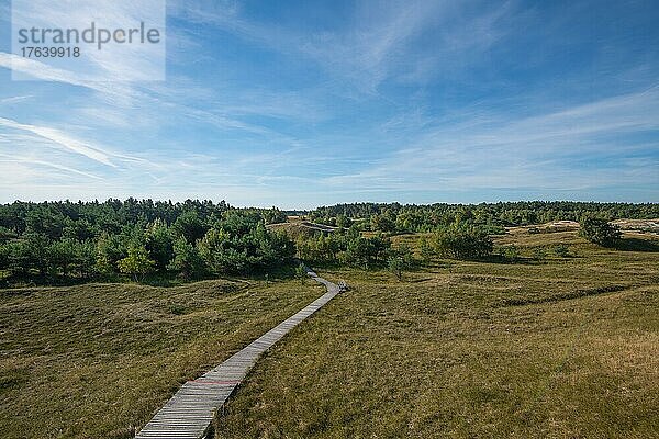 Hohe Warte Zingst  Blick auf den Bohlenwanderweg der zum Beobachtungsturm direkt am Ostseestrand führt  Nationalpark Vorpommersche Boddenlandschaft  Mecklenburg-Vorpommern