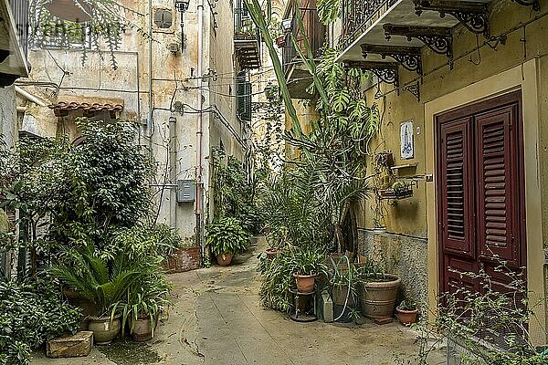 Altstadtgasse  Pflanzen  Monreale  Sizilien  Italien  Europa