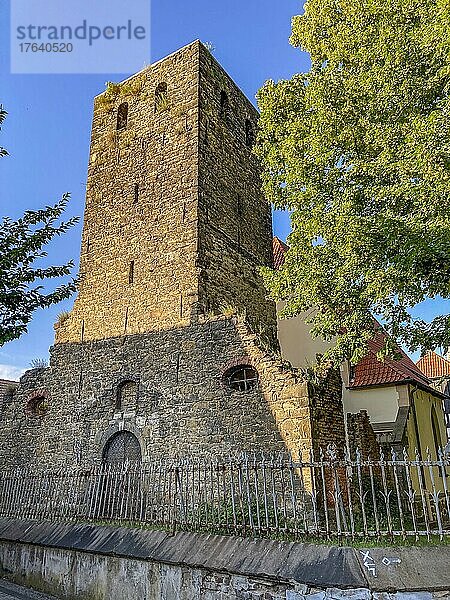 Ruine von Turm Turmruine von Schlosskapelle St. Martinus  Westerholt  Herten  Nordrhein-Westfalen  Deutschland  Europa