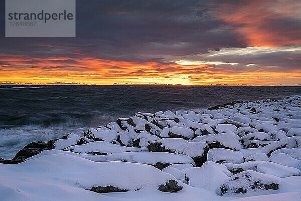 Verschneite Küste bei Hamnoy zu Sonnenaufgang  Hamnøy  Moskenesøy  Lofoten  Norwegen  Europa