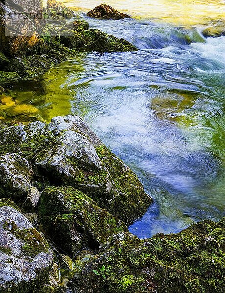 Gebirgsbach fließt über moosbewachsene Steine  Zeller Ache  Mondsee  Mondseeland  Salzkammergut  Oberösterreich  Österreich  Europa