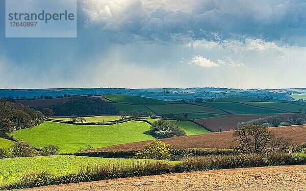 Felder und Wiesen über English Village  Devon  England  Großbritannien  Europa