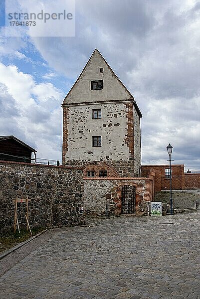 Kuhturm  Freiheitsturm  ca. 1530 erbaut  Kreisstadt Burg  Burg bei Magdeburg  Sachsen-Anhalt  Deutschland  Europa