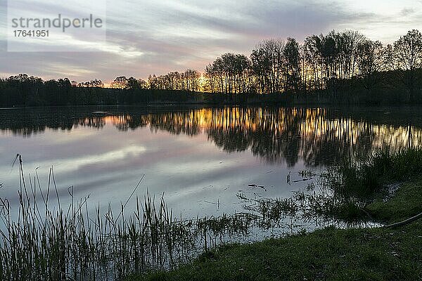 Morgenhimmel vor Sonnenaufgang am Heikteich  Teichgebiet Biehla-Weißig  Landkreis Bautzen  Sachsen  Deutschland  Europa