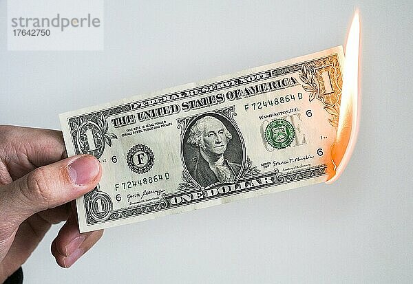 US-Dollar  verbrennen  Feuer  Banknote  Geldschein  Studioaufnahme