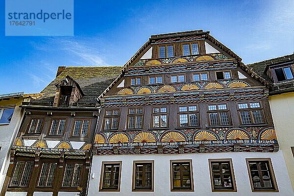 Fachwerkhaus in der Altstadt  Höxter  Nordrhein-Westfalen  Deutschland  Europa