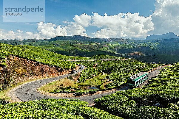 Reisebus auf der Straße in Teeplantagen  Munnar  Bundesstaat Kerala  Indien  Asien