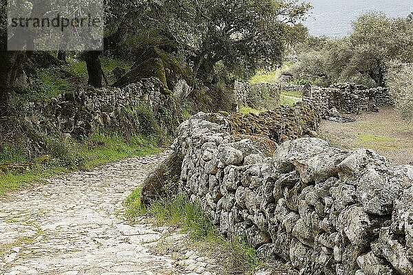 Begrenzungsmauern aus Felsgestein über Jahrhunderte aufgebaut  Extremadura  Spanien  Europa