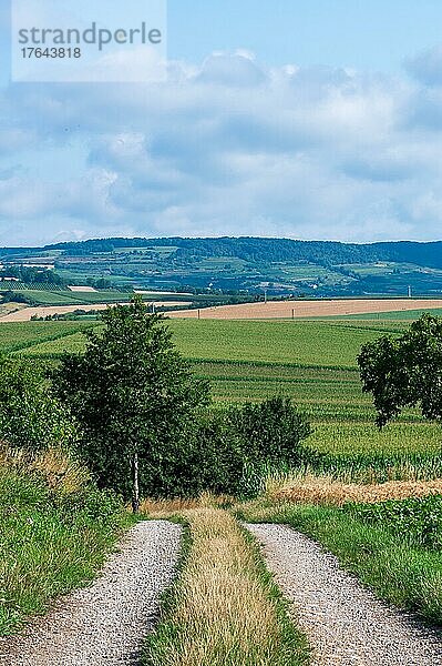 Ein schmaler Feldweg führt über einen kleinen Hügel zu den drunterliegenden Feldern und Äckern