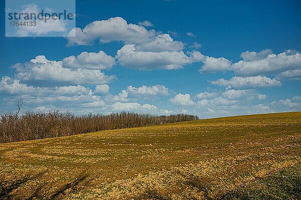 Am Übergang eines Feldes zu einem benachbarten Wald ist ein Hochsitz eines Jägers zu erkennen. Die aufgelockerten Wolken lassen die Sonne auf den ausgetrockneten Boden scheinen